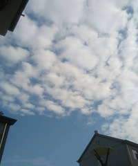 �������ư�