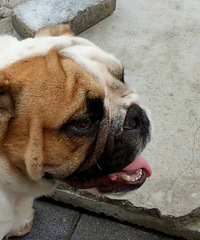 ɹɹ�Ҽҵ�С�ʷ�