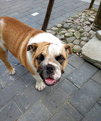 ɹɹ�Ҽҵ�С�ʷ�