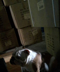 ��������һ��