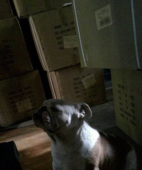 ��������һ��