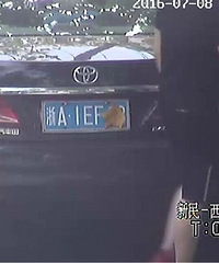 因为一片树叶 杭州司机被扣了12分!啥情况