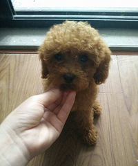 ����̩�ϱ������ۣ��������涼�Ѿ������ˣ�