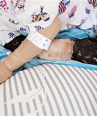 ��ͯ������ҧ�� �����ò˵���Ѫ ����ɲз�