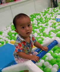 �����Լ���һſ������ݣ������