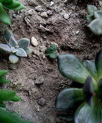 �²��м����Ҷ������ʲô?_?