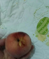 �������Ρ�Ϊ�����Σ�����Ҳƴ�ˣ�