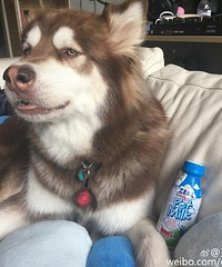 ��˼�ϰ�Ȯ�ҹ��ƣ��ҼҺ���Ǯ