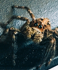 ���޷����Ĵ����˰칫��