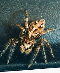 ���޷����Ĵ����˰칫��