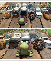 ���Ǻ�ϲ���Ķ��⻨�裡