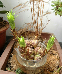 ������İٺϷž��˾�Ȼ��������