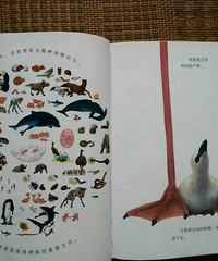 ���汾�����ڡ���һ�η���֮���ڵ�ι��