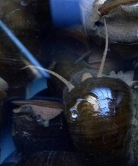 ϣ�����н�