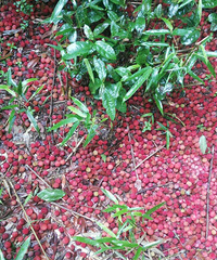 ��������ȯ��