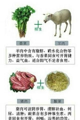 食物的相生与相克