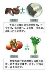食物的相生与相克