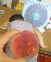 �����Ρ���С�����Ȳ�������ҧ�˼���