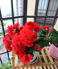 ��Դ����