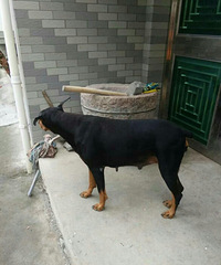 �ű�Ȯ���֣��۸���������ġ�