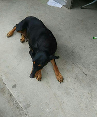 �ű�Ȯ���֣��۸���������ġ�