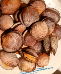 ����ȯ����