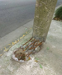 ����������������߸�