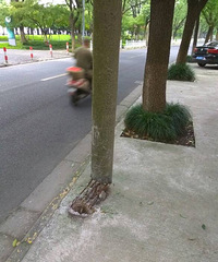 ����������������߸�