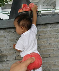 �������Ρ����Ķ����������Ĵ���