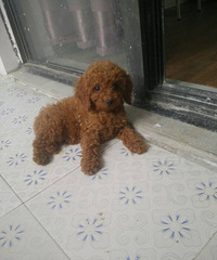 ����̩�ϱ����������£�����������ȫ����ϲ