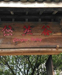 我要自荐+悠然谷