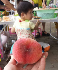 �������Ρ����Ҿ���