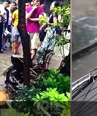 比特犬当街发情疯狂撕咬主人!现场超惊悚!