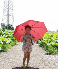 ����Ҫ����汾Ⱥ��+���Ķ��������ְɣ�