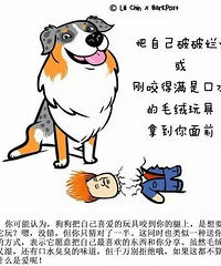 快来看看你家狗是不是这样??
