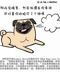 快来看看你家狗是不是这样??