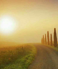 ������˹������˹