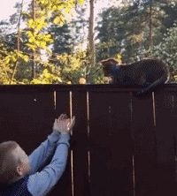 С�к�����è��ѱ�����Ū����  Ȼ��..