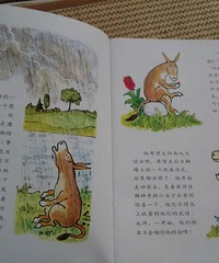 ���汾�����ڡ�¿С�ܱ�ʯͷ