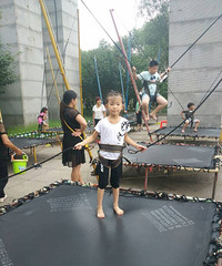 ����Ʊ������������Ӱ��+ϣ��������