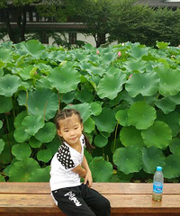 ����Ʊ������������Ӱ��+ϣ��������