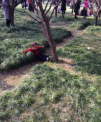 ����Ʊ����ӰƱ����������������������