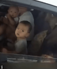 80��С���������߸��ޣ�ȫ�ҳ��Űѽ�����������������