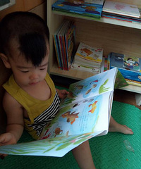 ���������Ķ���284��