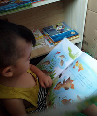 ���������Ķ���284��