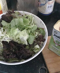 ֻ���Լ������Լ�����