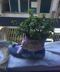 ��С����������ط����ޣ�