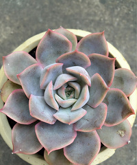 �������� ������