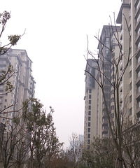 我要买房+我最喜欢的小区(御缇嘉苑)