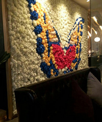 ����ϲ����ǽ��